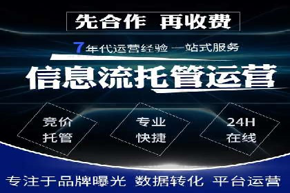 XX领域竞价广告的投放策略及效果展示